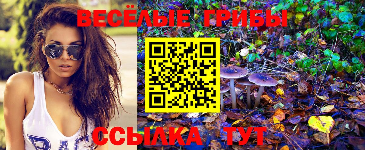 Псилоцибиновые грибы Cubensis Новочебоксарск