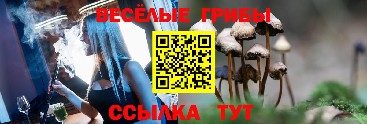 Новочебоксарск  Галлюциногенные грибы мицелий  Псилоцибиновые грибы GOLDEN TEACHER  Вход с VPN 